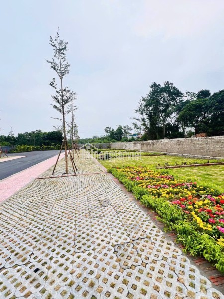 TrendingXXX 100 m2 đất thổ cư - Ngay Ngã tư chợ hòa lạc
- MT 6,8m