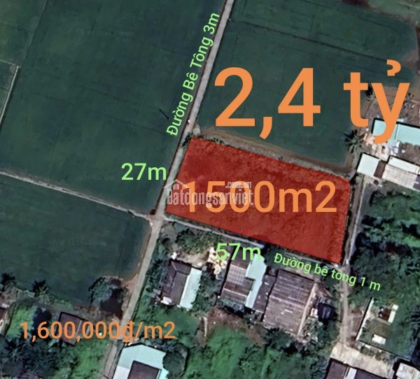 Bán đất lúa chuyển thổ xã Vàm Cỏ gần Quốc Lộ 50B giá 2,4 tỷ