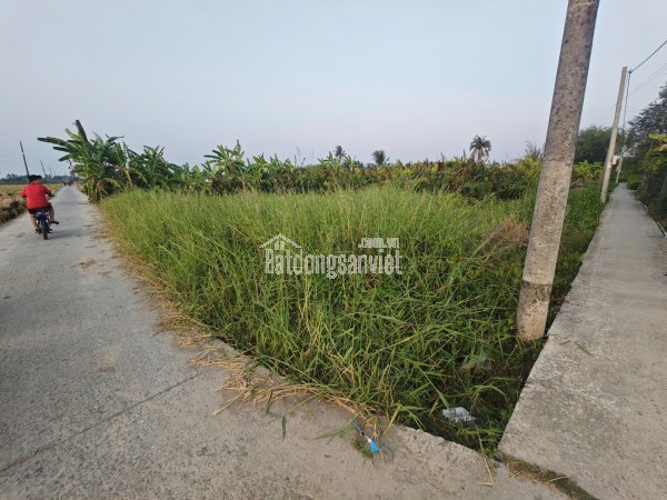 Bán đất lúa chuyển thổ xã Vàm Cỏ gần Quốc Lộ 50B giá 2,4 tỷ