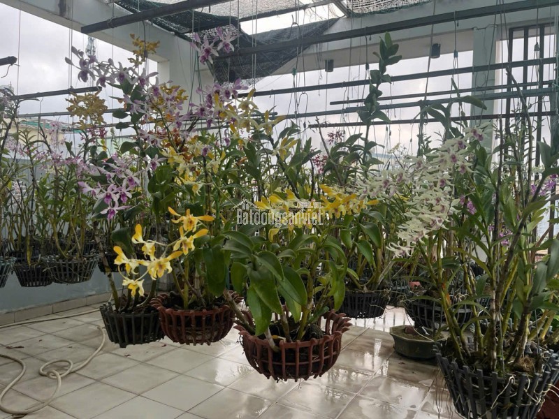 Bán nhà đúc 2,5 tấm hẻm 142 đường số 339 P. Phước Long B, Q9 cũ