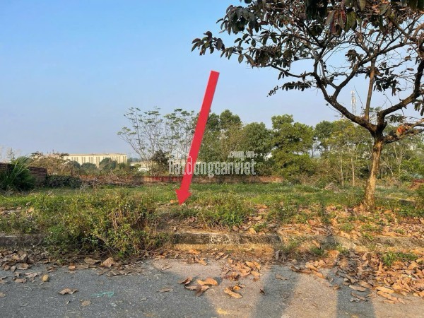 cắt lỗ, bán gấp mảnh đất Hoà Lạc 100m2 full thổ cư