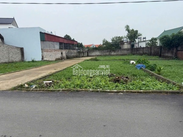 BÁN ĐẤT LÔ GÓC – MẶT TIỀN RỘNG TẠI TRIỆU VIỆT VƯƠNG, TÂN DÂN, KHOÁI CHÂU