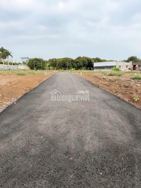 BÁN ĐẤT MẶT TIỀN NHỰA 16M – GIÁ CHỈ TỪ 590 TRIỆU/NỀN