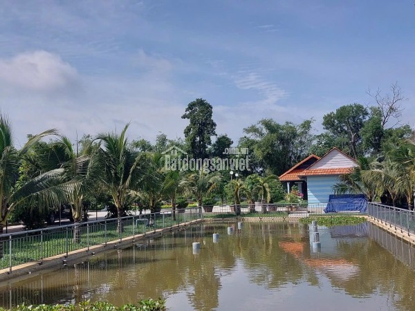 BÁN GẤP NHÀ VƯỜN SINH THÁI HẬU NGHĨA ĐỨC HÒA, LONG AN (NAY THUỘC TÂY NINH)