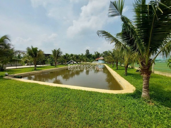 BÁN GẤP NHÀ VƯỜN SINH THÁI HẬU NGHĨA ĐỨC HÒA, LONG AN (NAY THUỘC TÂY NINH)