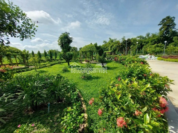 BÁN GẤP NHÀ VƯỜN SINH THÁI HẬU NGHĨA ĐỨC HÒA, LONG AN (NAY THUỘC TÂY NINH)