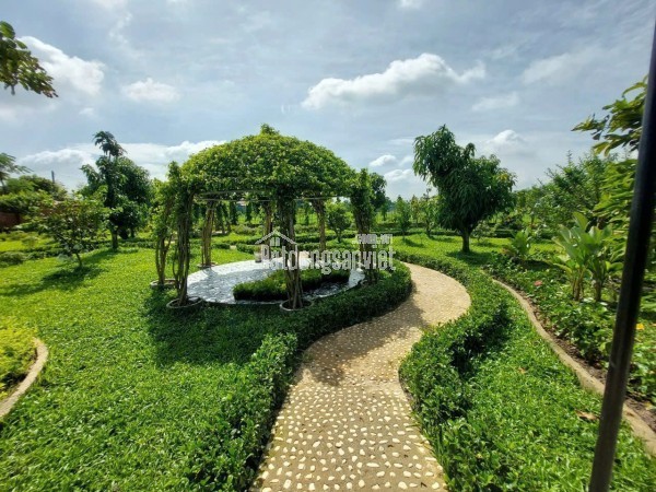 BÁN GẤP NHÀ VƯỜN SINH THÁI HẬU NGHĨA ĐỨC HÒA, LONG AN (NAY THUỘC TÂY NINH)