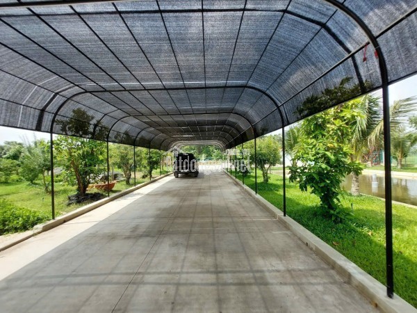 BÁN GẤP NHÀ VƯỜN SINH THÁI HẬU NGHĨA ĐỨC HÒA, LONG AN (NAY THUỘC TÂY NINH)