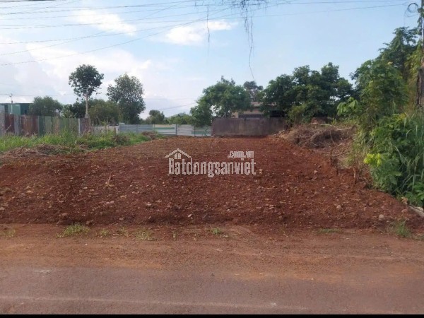 Vị trí đất cực đẹp, nằm ngay khu dân cư ổn định, đường đi lại thuận tiện. Tổng diện tích là 1352m2