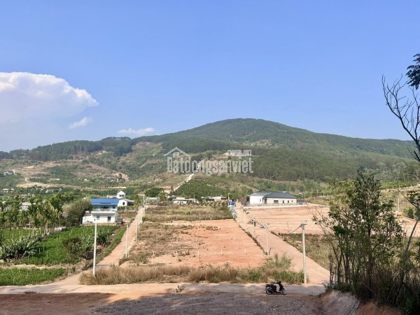 Bán đất tại dt 725, Xã Gia Lâm, Huyện Lâm Hà, Lâm Đồng giá 1 tỷ  150 triệu