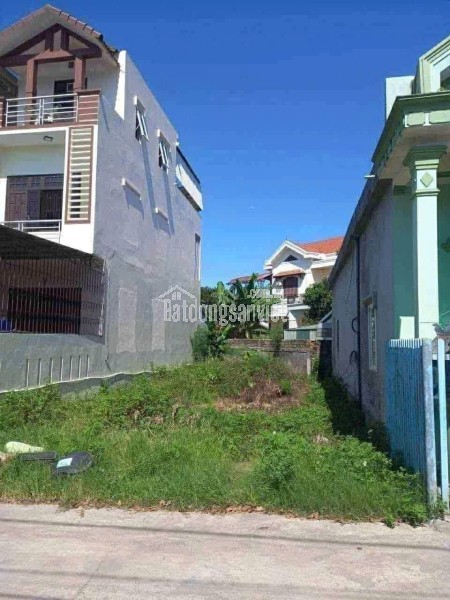 Đất kiệt Hàm Nghi trung tâm phường Nam Đông Hà, sát trường tiểu học Hàm Nghi