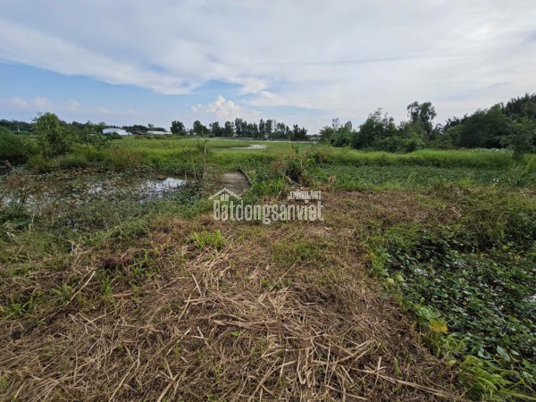 Bán lô đất thổ lúa vườn không dính quy hoạch giá 7,2 tỷ