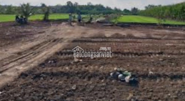 Cho thuê đất nông nghiệp. Xã Vĩnh Lộc, mặt tiền đường xe tải lớn Trần Văn Giàu