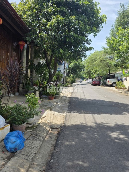 Tổng diện tích lên đến 1687m2 quay hướng Bắc mát mẻ.