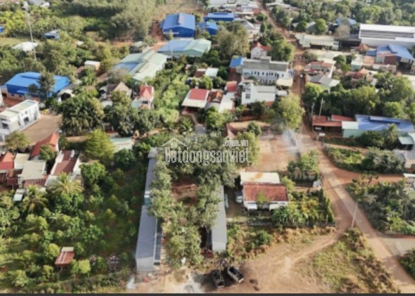Tổng diện tích lên đến 1687m2 quay hướng Bắc mát mẻ.