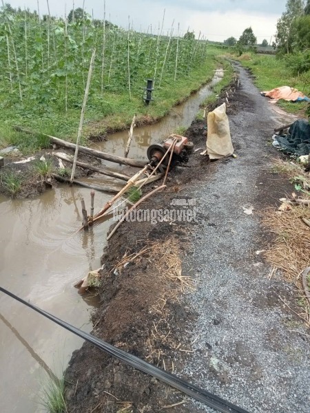 Cho thuê đất nông nghiệp xã Vĩnh Lộc thích hợp trồng rau, trồng cây ăn trái.