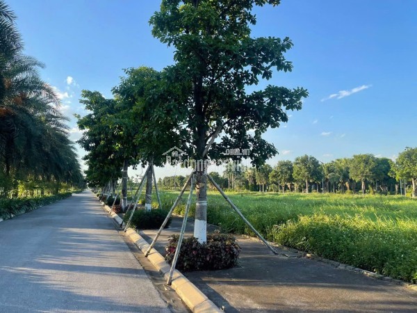 ► CHO THUÊ PHÒNG HOẶC CHO THUÊ  CẢ NHÀ TẠI KIM LIÊN – FULL ĐỒ MỚI – GIÁ TỪ 4 TRIỆU