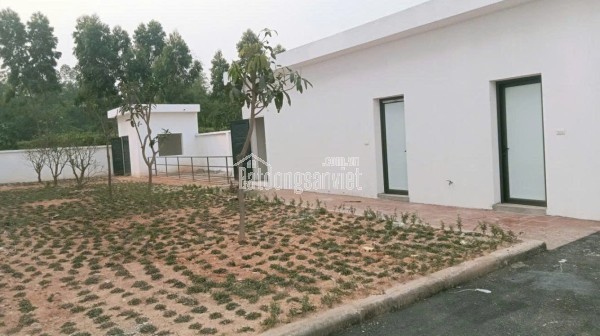 CHÍNH CHỦ CHO THUÊ NHÀ XƯỞNG , VĂN PHÒNG TẠI XÃ TAM DƯƠNG - TỈNH PHÚ THỌ ( thuộc huyện Tam Dương