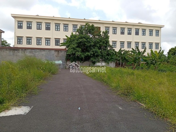 CHỦ CẦN THANH KHOẢN NHANH LÔ ĐẤT TẠI KIẾN THUỴ, HẢI PHÒNG