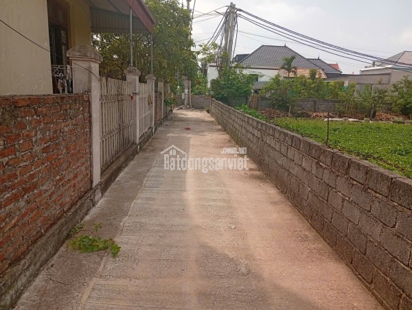 🔴💥Bán đất đường Hoà Minh 19 - Gần ĐH Bách Khoa