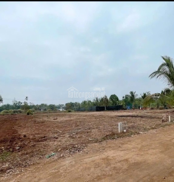 Tổng diện tích lên tới 1218m2, hướng Bắc mát mẻ quanh năm