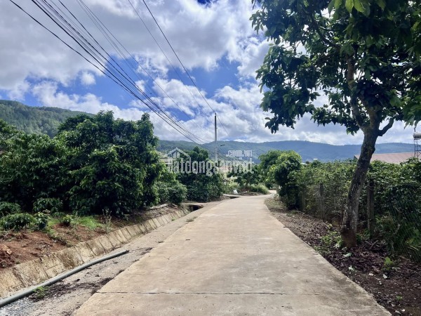 Bán đất tại dt 725, Xã Đông Thanh, Huyện Lâm Hà, Lâm Đồng giá 1 tỷ  500 triệu