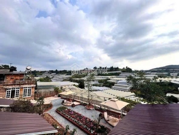 CHO THUÊ KHU HOMESTAY 9 PHÒNG VIEW ĐỒI & NHÀ LỒNG VẠN THÀNH ĐÀ LẠT
