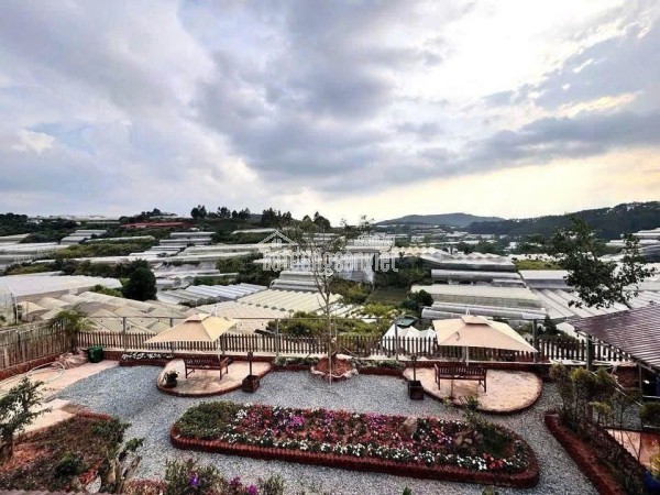 CHO THUÊ KHU HOMESTAY 9 PHÒNG VIEW ĐỒI & NHÀ LỒNG VẠN THÀNH ĐÀ LẠT