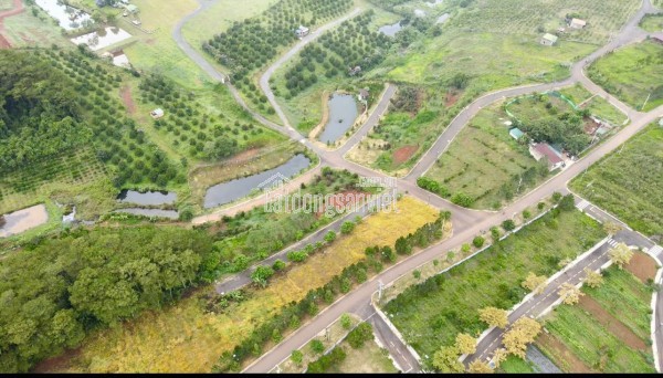 BÁN ĐẤT NỀN SUỐI THÔNG GARDEN BẢO LỘC - VIEW RỪNG THÔNG SIÊU VIP - GIÁ CHỈ TỪ 1.350 TỈ