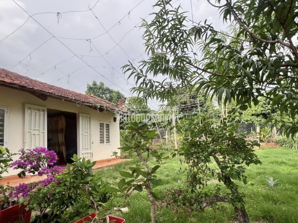 Bán trang trại, khu nghỉ dưỡng tại dt 725, Thị trấn Nam Ban, Huyện Lâm Hà, Lâm Đồng giá 8 tỷ5