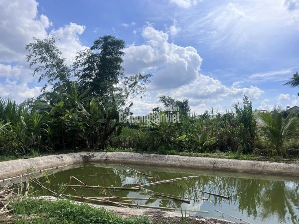 Bán trang trại, khu nghỉ dưỡng tại dt 725, Thị trấn Nam Ban, Huyện Lâm Hà, Lâm Đồng giá 8 tỷ5