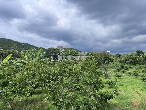 Bán trang trại, khu nghỉ dưỡng tại dt 725, Thị trấn Nam Ban, Huyện Lâm Hà, Lâm Đồng giá 8 tỷ5