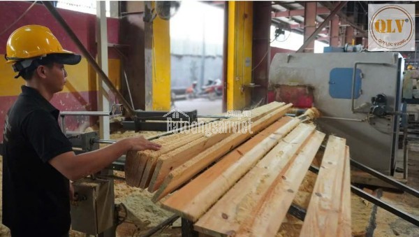 BÁN NHÀ XƯỞNG CHẾ BIẾN GỖ – HÓC MÔN, TP.HCM – 14.756m²
