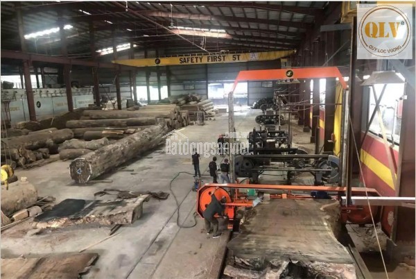 BÁN NHÀ XƯỞNG CHẾ BIẾN GỖ – HÓC MÔN, TP.HCM – 14.756m²