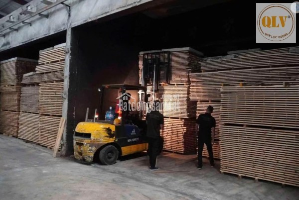 BÁN NHÀ XƯỞNG CHẾ BIẾN GỖ – HÓC MÔN, TP.HCM – 14.756m²