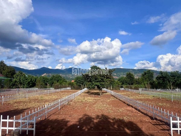 ĐẤT THỔ CƯ GẦN CHỢ THĂNG LONG – HẠ TẦNG HOÀN THIỆN – PHÙ HỢP XÂY NHÀ Ở LÂU DÀI
