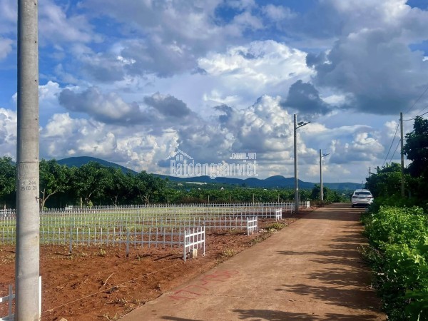 ĐẤT THỔ CƯ GẦN CHỢ THĂNG LONG – HẠ TẦNG HOÀN THIỆN – PHÙ HỢP XÂY NHÀ Ở LÂU DÀI