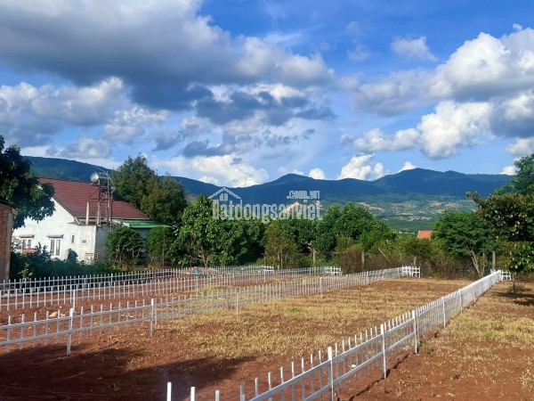 ĐẤT THỔ CƯ GẦN CHỢ THĂNG LONG – HẠ TẦNG HOÀN THIỆN – PHÙ HỢP XÂY NHÀ Ở LÂU DÀI