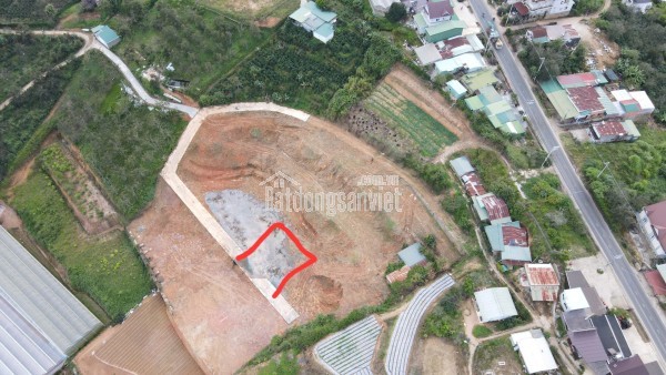 BÁN ĐẤT XUÂN THỌ (NAY THUỘC PHƯỜNG XUÂN TRƯỜNG), ĐÀ LẠT, TỈNH LÂM ĐỒNG
