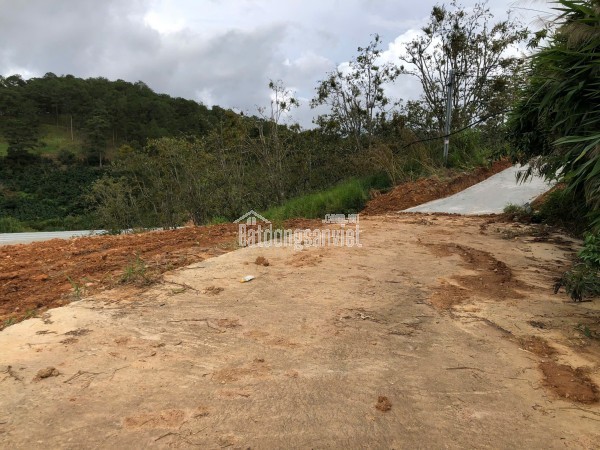 BÁN ĐẤT XUÂN THỌ (NAY THUỘC PHƯỜNG XUÂN TRƯỜNG), ĐÀ LẠT, TỈNH LÂM ĐỒNG