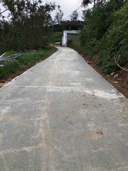 BÁN ĐẤT XUÂN THỌ (NAY THUỘC PHƯỜNG XUÂN TRƯỜNG), ĐÀ LẠT, TỈNH LÂM ĐỒNG