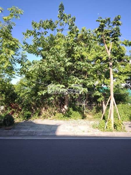 Lô Góc đường rộng 40m, vỉa hè đá bóng. Khu đất đấu giá Nguyên Khê, Đông Anh, Hà Nội