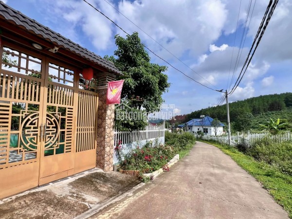 Bán đất tại dt 725, Thị trấn Nam Ban, Huyện Lâm Hà, Lâm Đồng giá 1 tỷ  500 triệu