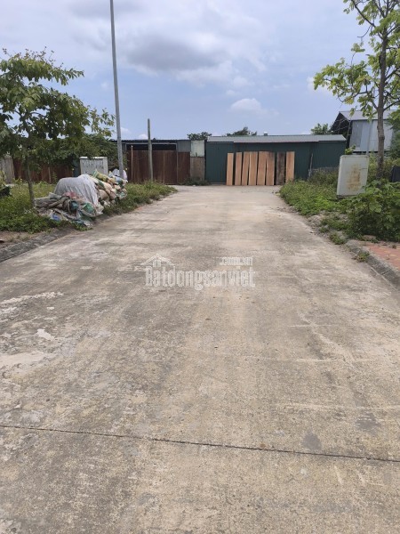 Hiếm! Lô Đất đấu giá 80m2 còn sót lại tại Nguyên Khê - Đông Anh - Hà Nội. Giá: 85tr/m2