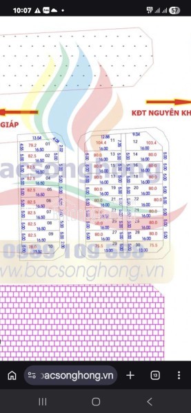 Hiếm! Lô Đất đấu giá 80m2 còn sót lại tại Nguyên Khê - Đông Anh - Hà Nội. Giá: 85tr/m2