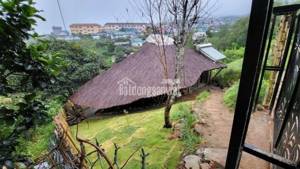 BÁN ĐẤT TÂN VĂN LÂM HÀ HƠN 5000M2 Ạ ĐẤT LỚN GIỜ KIẾM Ở ĐÂU