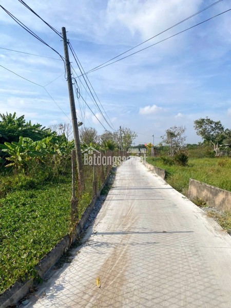 CẦN BÁN 521M2 9X60 KHO MT ĐƯỜNG LÊ ĐÌNH CHI