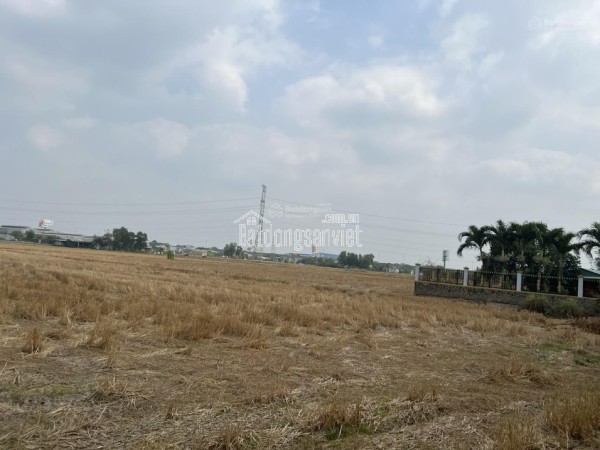 Bán đất MT đường Hùng Vương, Ấp 2, Long Thọ 1000m2 giá 29,5 tỷ
