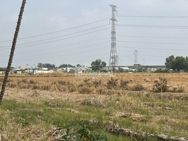 Bán đất MT đường Hùng Vương, Ấp 2, Long Thọ 1000m2 giá 29,5 tỷ