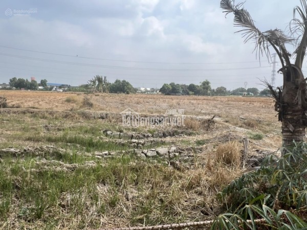 Bán đất MT đường Hùng Vương, Ấp 2, Long Thọ 1000m2 giá 29,5 tỷ